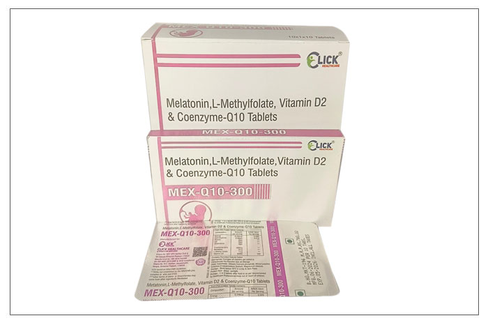 MEX-Q10 300